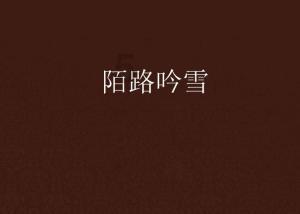 兴证国际拟发行有担保债券